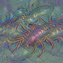 n01981276 king crab, Alaska crab, Alaskan king crab, Alaska king crab, Paralithodes camtschatica